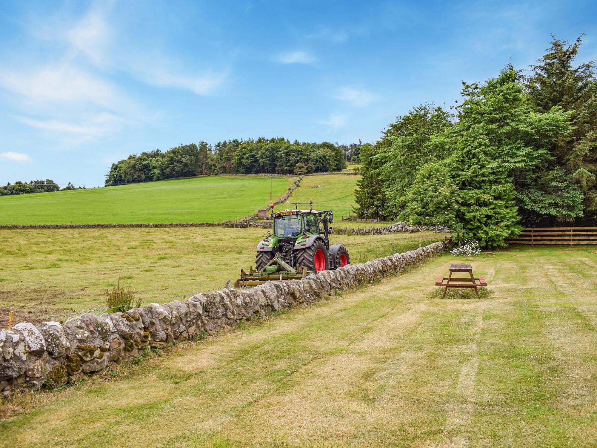 Southview Cottage Cupar Eksteriør billede